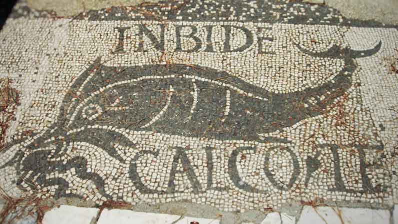 Black and white mosaic of fish from Ostia Antica with the text "INBIDE, CALCO TE".