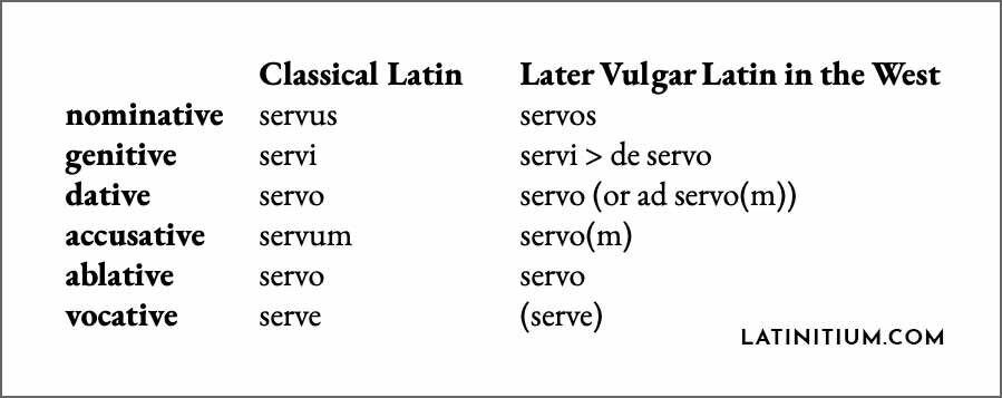 What do you mean, We? : r/latin