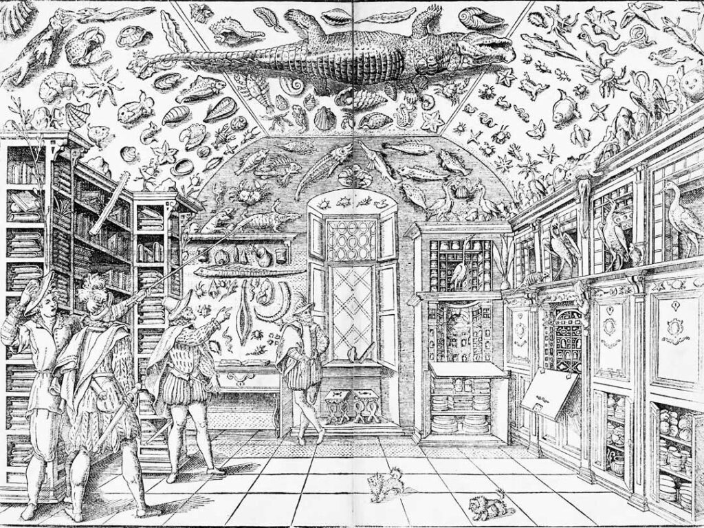 Engraving of a Renaissance Cabinet of Curiosities from 1599. 